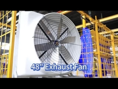 121139m3/h पोल्ट्री फैन और PMSM मोटर के साथ वायु परिसंचरण में सुधार