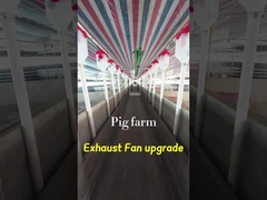 वॉल्यूम इंडस्ट्रियल एग्जॉस्ट फैन 72 इंच ब्लेड व्यास IP55 सुरक्षा ग्रेड