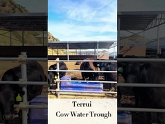 पशुधन ऑटो वाटरर