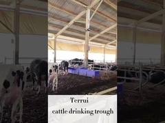 एलएलडीपीई पशुधन ऑटो वाटरर के साथ 3 सेट 220V300W हीटिंग डिस्क के साथ मवेशियों के लिए