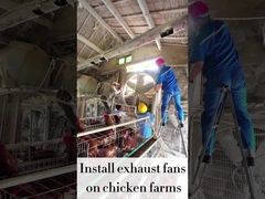 परिवर्तनीय गति 120 सेमी परिष्कृत निकास पंखे 56.4m3/h हवा की मात्रा 48000m3/h वायु प्रवाह क्षमता