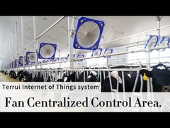 1.1A करंट और 38'/0.96m ब्लेड व्यास के साथ शक्तिशाली औद्योगिक पंखे