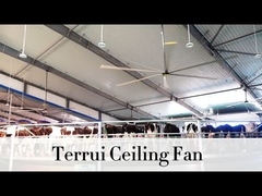 9.53m3/min वायु प्रवाह औद्योगिक छत प्रशंसक 14300 m3/min अधिकतम उत्पादन