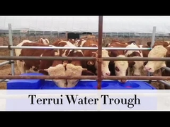 85L ब्लू हेवी ड्यूटी वाटरिंग टैंक 3/4 ब्रैडेड नली के साथ