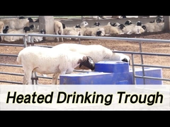 260 लीटर क्षमता और 190 मिमी पीने की ऊंचाई के साथ उच्च क्षमता वाली गाय पानी देने वाली मशीन