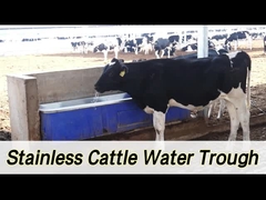 2 सेट 1800W समायोज्य हीटिंग पशुधन ऑटो पानी 100-120L/मिनट की प्रवाह दर के साथ