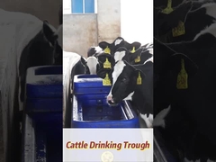 120L/मिनट प्रवाह दर प्रतिरोधी पॉलीएथिलीन गाय पीने के पानी के लिए टब