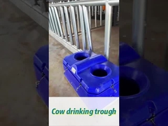 450 मिमी पीने की ऊंचाई पर आसानी से पानी देने के लिए उच्च प्रवाह दर वाली गाय पानी
