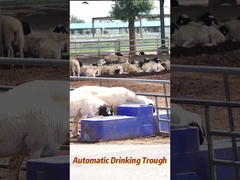 120 लीटर/मिनट प्रवाह दर गाय पीने का पात्र 150 लीटर कृषि उत्पादन के लिए क्षमता