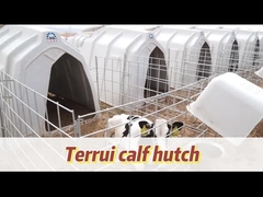 बछड़ों के लिए वेंटिलेटेड बछड़ा घर