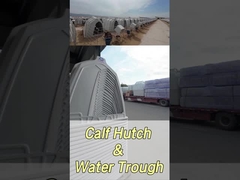 स्वास्थ्य और कल्याण में सुधार के लिए 220*145*145 सेमी आयताकार डेयरी बछड़े के गुब्बारे