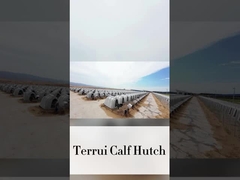 220*145*145 सेमी सफेद दूध के बछड़े के बछड़े के बछड़े आपकी खेती की जरूरतों के लिए एकदम सही