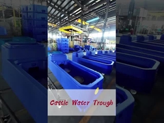 पशुपालन में 300 लीटर क्षमता के लिए 400*67*68 सेमी गाय पीने का पात्र