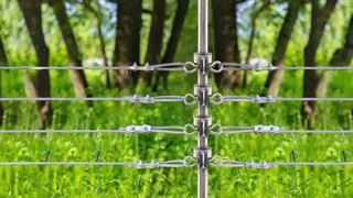 अपने पशुधन को सुरक्षित करें: इलेक्ट्रिक बाड़ पर टी-पोस्ट इंसुलेटर कैसे स्थापित करें