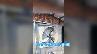 उच्च-वेग वेंटिलेशन: टेरुई औद्योगिक निकास पंखे क्रियान्वित