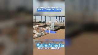 अत्यधिक ठंड की स्थिति का सामना करने के लिए टिकाऊ प्लास्टिक आवरण से बना 1.7 मीटर गर्म पशुधन जल कुंड